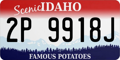 ID license plate 2P9918J