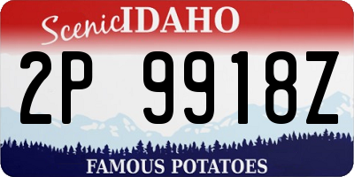 ID license plate 2P9918Z