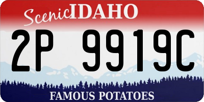 ID license plate 2P9919C
