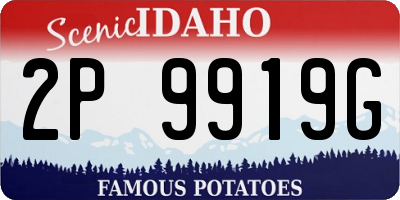 ID license plate 2P9919G