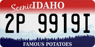 ID license plate 2P9919I
