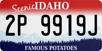 ID license plate 2P9919J