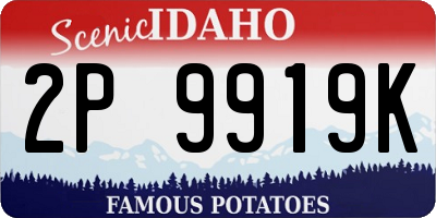 ID license plate 2P9919K