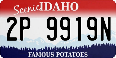 ID license plate 2P9919N
