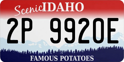 ID license plate 2P9920E