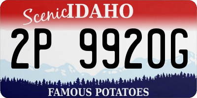 ID license plate 2P9920G