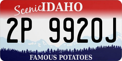 ID license plate 2P9920J