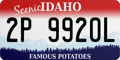 ID license plate 2P9920L