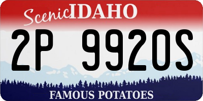 ID license plate 2P9920S
