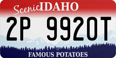 ID license plate 2P9920T