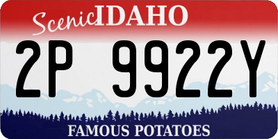 ID license plate 2P9922Y