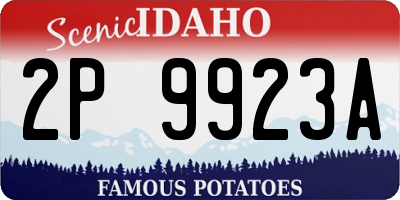 ID license plate 2P9923A