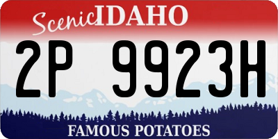 ID license plate 2P9923H