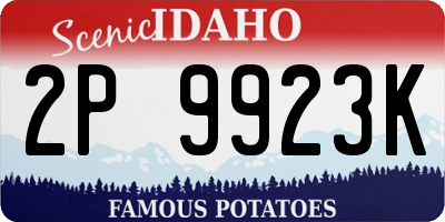 ID license plate 2P9923K