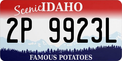 ID license plate 2P9923L