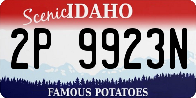 ID license plate 2P9923N