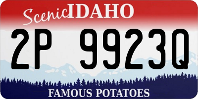 ID license plate 2P9923Q