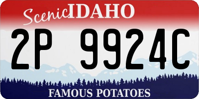 ID license plate 2P9924C