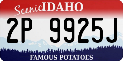 ID license plate 2P9925J