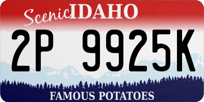 ID license plate 2P9925K