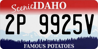 ID license plate 2P9925V