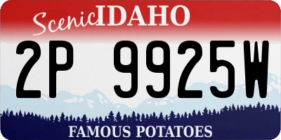 ID license plate 2P9925W