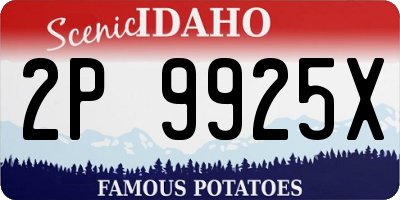 ID license plate 2P9925X