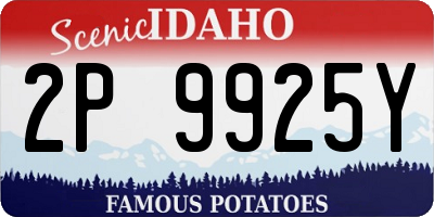 ID license plate 2P9925Y