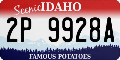 ID license plate 2P9928A