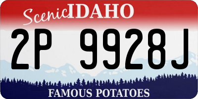 ID license plate 2P9928J