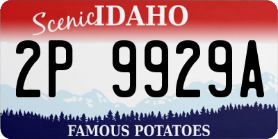 ID license plate 2P9929A