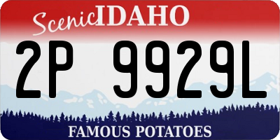 ID license plate 2P9929L