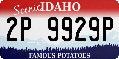 ID license plate 2P9929P