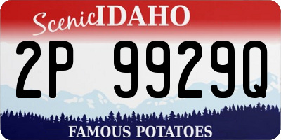 ID license plate 2P9929Q