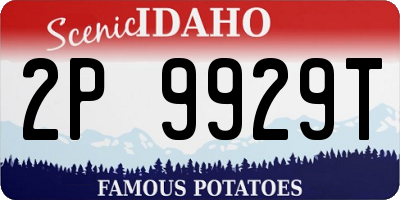 ID license plate 2P9929T