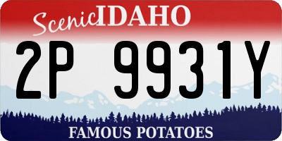 ID license plate 2P9931Y