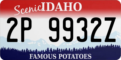 ID license plate 2P9932Z