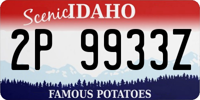 ID license plate 2P9933Z