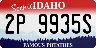 ID license plate 2P9935S