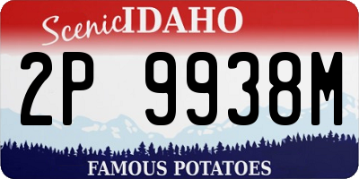 ID license plate 2P9938M