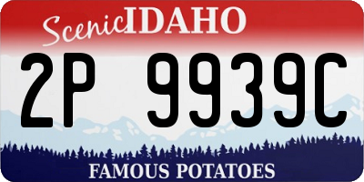ID license plate 2P9939C