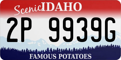ID license plate 2P9939G
