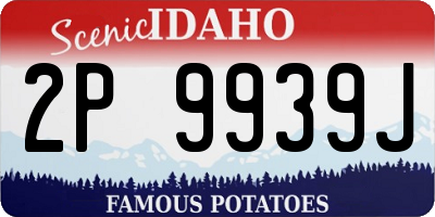 ID license plate 2P9939J