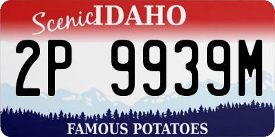 ID license plate 2P9939M