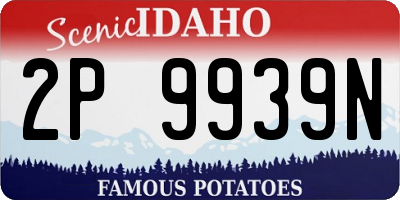 ID license plate 2P9939N