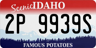 ID license plate 2P9939S