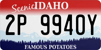 ID license plate 2P9940Y