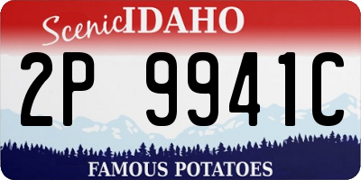ID license plate 2P9941C