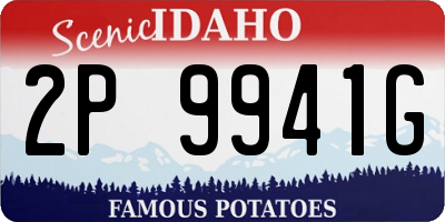 ID license plate 2P9941G
