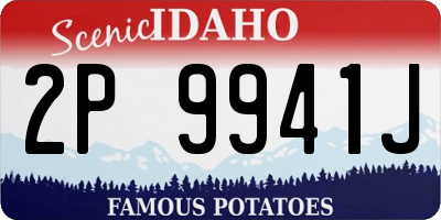 ID license plate 2P9941J